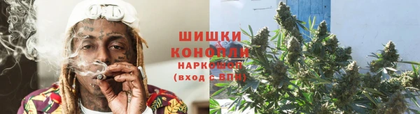 гидра Михайловск