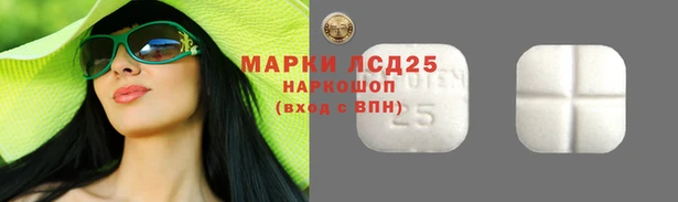 гидра Михайловск