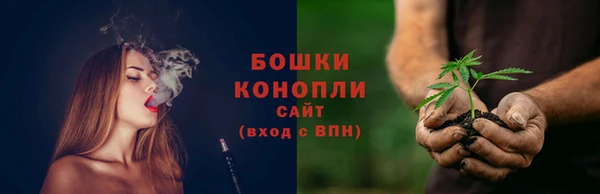 шишки Краснослободск