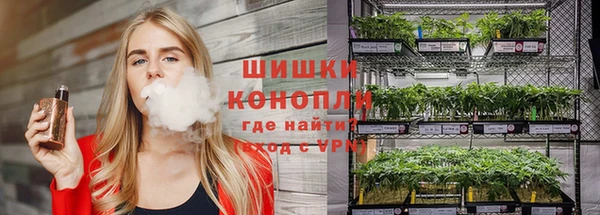 крисы Михайловка