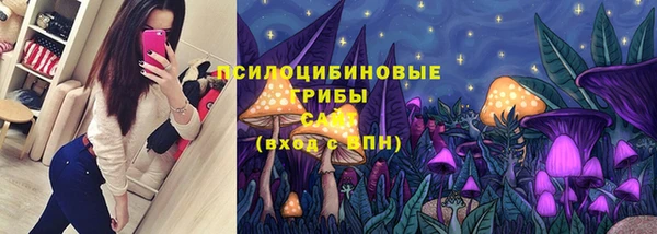 2c-b Медвежьегорск