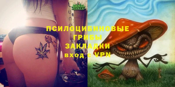 крисы Михайловка