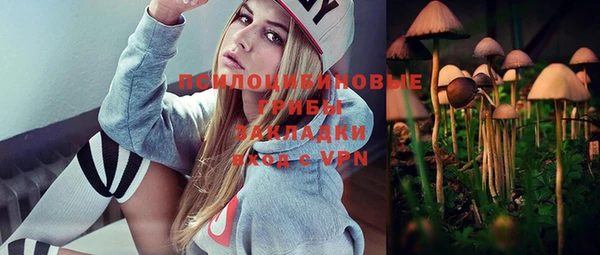 прущая мука Михайлов